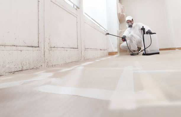 24/7 Emergency Crawl Space Mold Removal experts in Phoenix, IL
