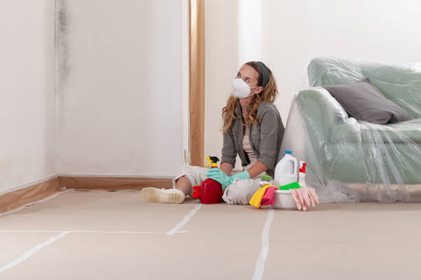Reliable Crawl Space Mold Removal contractor in Phoenix, IL by WQB Mold Removal